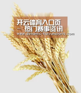 开云体育入口页 - 热门赛事资讯与直播导航 - 赛事同步