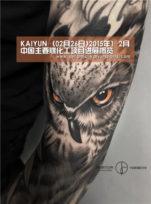 KAIYUN-(02月26日)2015年1-2月中国主要煤化工项目进展概览(图1) 开云即时比分