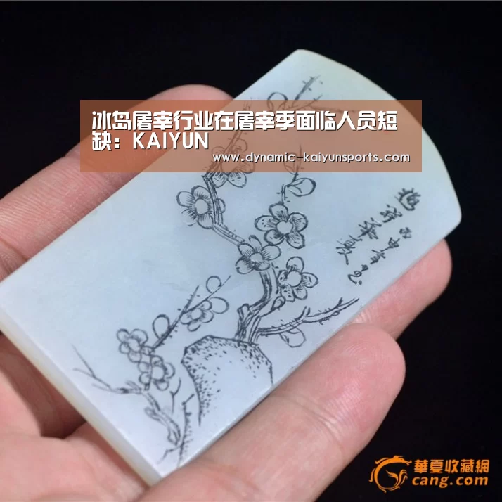 冰岛屠宰行业在屠宰季面临人员短缺:KAIYUN(图1) 开云体育官网