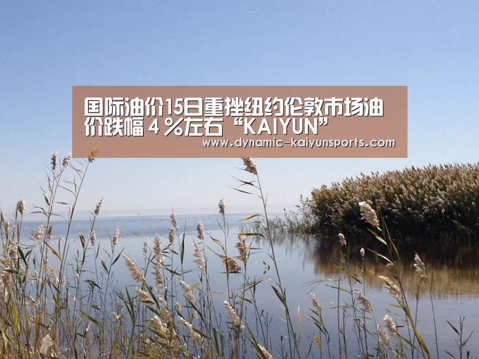 国际油价15日重挫纽约伦敦市场油价跌幅4%左右“KAIYUN”(图3) 国际油价15日重挫纽约伦敦市场油价跌幅4%左右“KAIYUN”(图3)