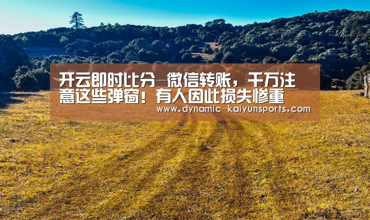 开云即时比分-微信转账,千万注意这些弹窗!有人因此损失惨重(图1) 开云官网