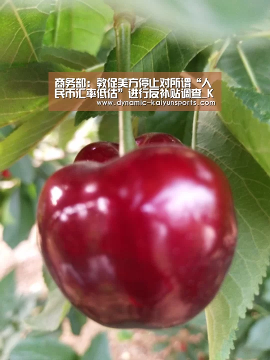 商务部:敦促美方停止对所谓“人民币汇率低估”进行反补贴调查_KAIYUN(图2) 商务部:敦促美方停止对所谓“人民币汇率低估”进行反补贴调查_KAIYUN(图2)