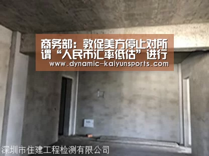 商务部:敦促美方停止对所谓“人民币汇率低估”进行反补贴调查_KAIYUN(图4) 开云体育官网