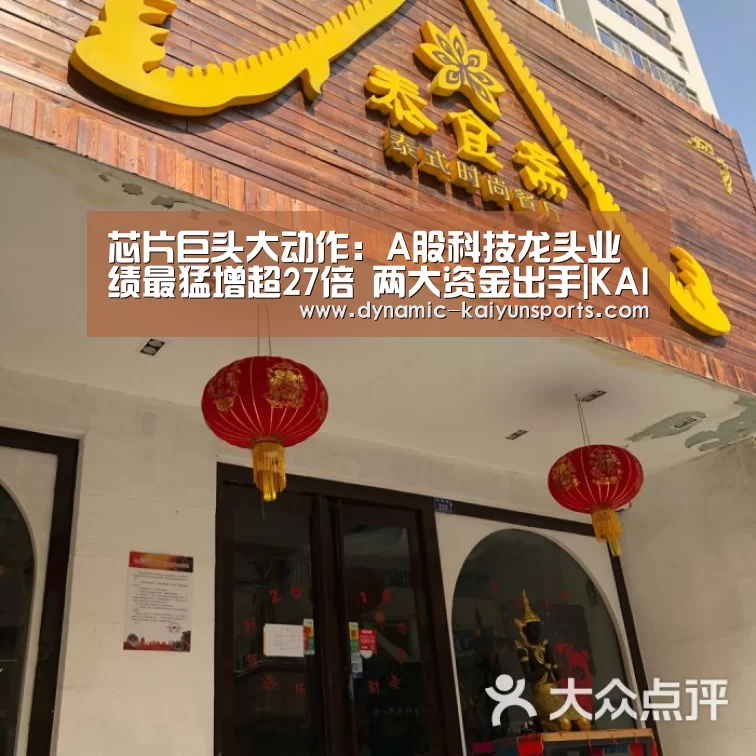 芯片巨头大动作:A股科技龙头业绩最猛增超27倍 两大资金出手|KAIYUN(图3) 开云体育官网
