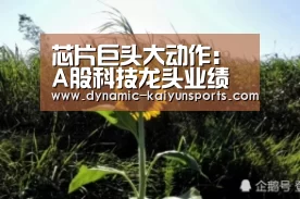 芯片巨头大动作:A股科技龙头业绩最猛增超27倍 两大资金出手|KAIYUN(图2) 开云即时比分
