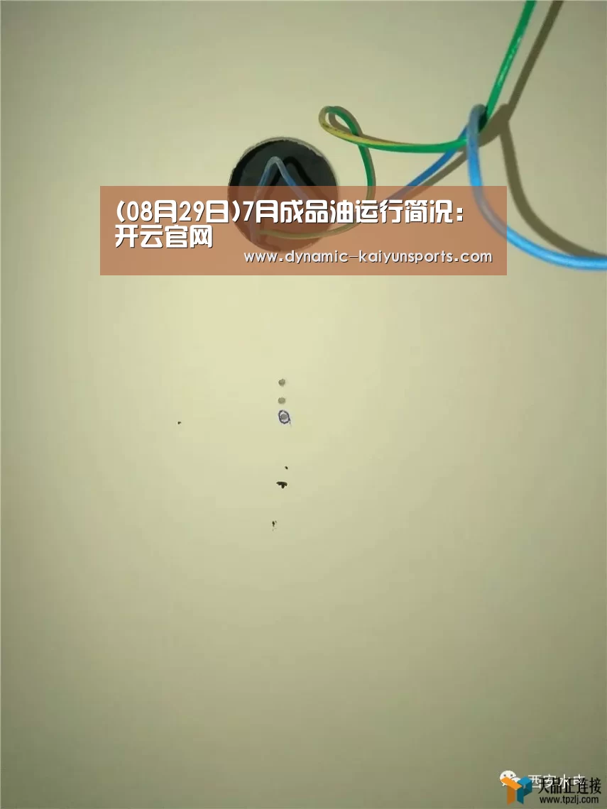 (08月29日)7月成品油运行简况:开云官网(图4) 开云官网