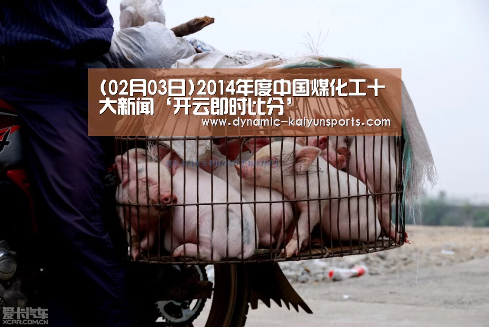 开云体育官网