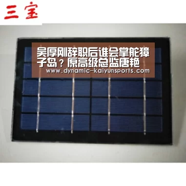 吴厚刚辞职后谁会掌舵獐子岛？原高级总监唐艳任董事长兼总裁【开云即时比分】(图2)
