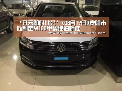 ‘开云即时比分’(08月19日)贵阳市拟制定M100甲醇汽油标准(图2) 开云即时比分