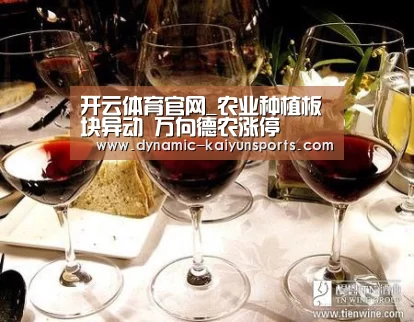开云官网